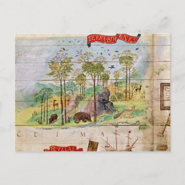Der kanadische Wald Postkarte (Vorderseite)