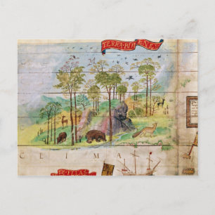 Der kanadische Wald Postkarte