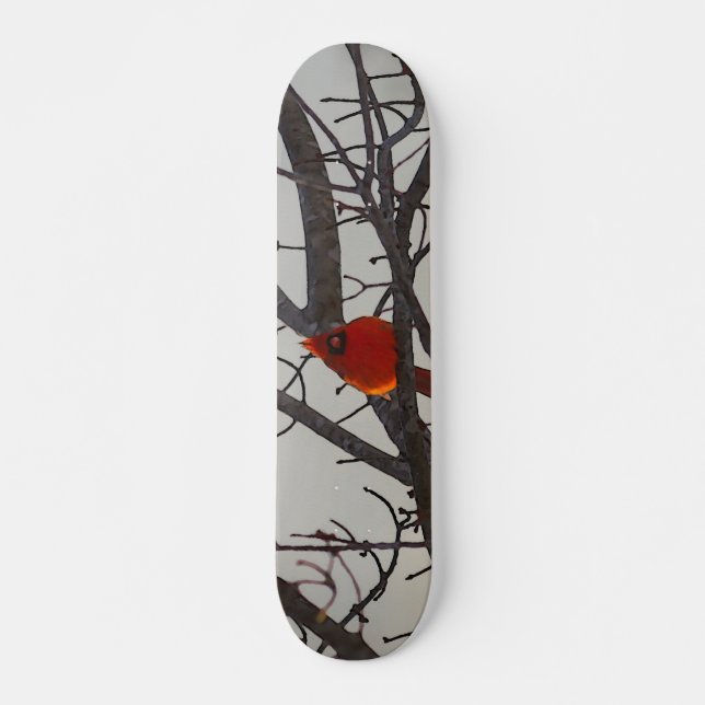 Der Kardinal morgens Skateboard (Vorne)