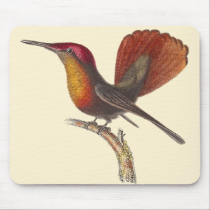 Der karminrote Topaz-Kolibri - Lektion Rene Mousepad