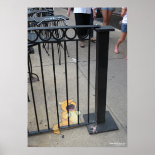 Der Katzengefängner Poster