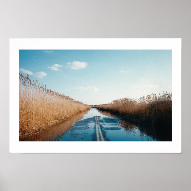 Der Kauseway Poster (Vorne)