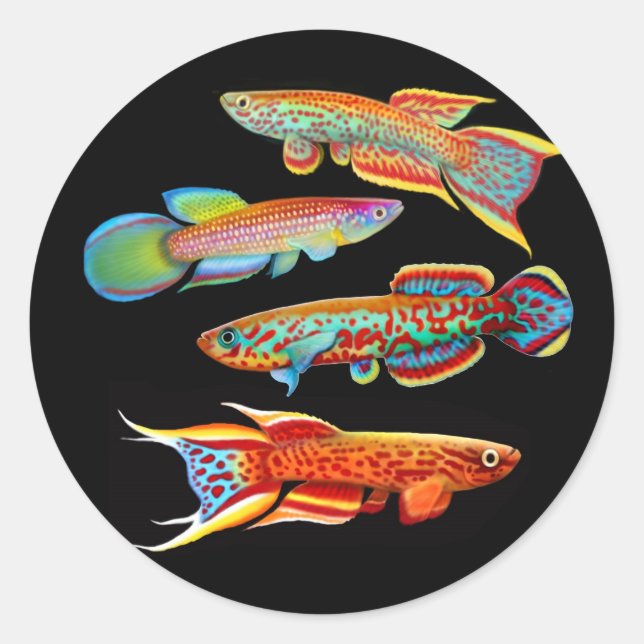 Der Killifish Sticker (Vorderseite)