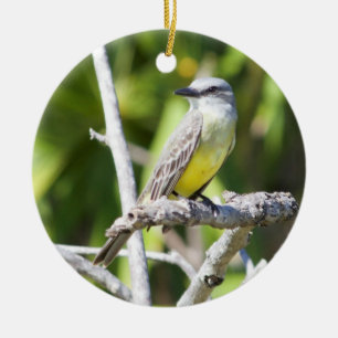 Der Kingbird der Couch des Yucatan Keramik Ornament