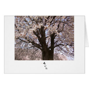 Der Kirschbaum in Japan 1