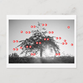 Der Kirschbaum Postkarte
