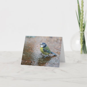 Der kleine blaue Vogel im Regen Feiertagskarte