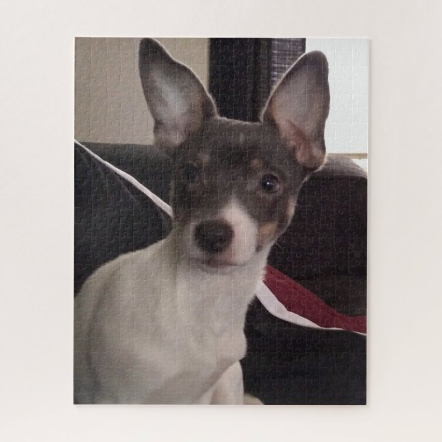 DER KLEINE CHIHUAHUA HUND PUZZLE (Vertikal)