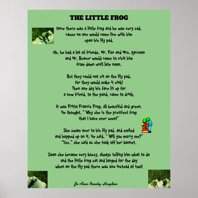 DER KLEINE FROG POSTER (Vorne)
