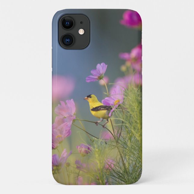 Der kleine Gelbbvogel in den Blume Case-Mate iPhone Hülle (Rückseite)