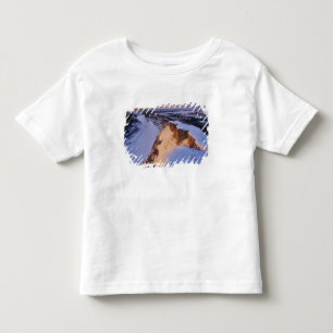 Der kleine Missouri-Fluss im Winter Kleinkind T-shirt