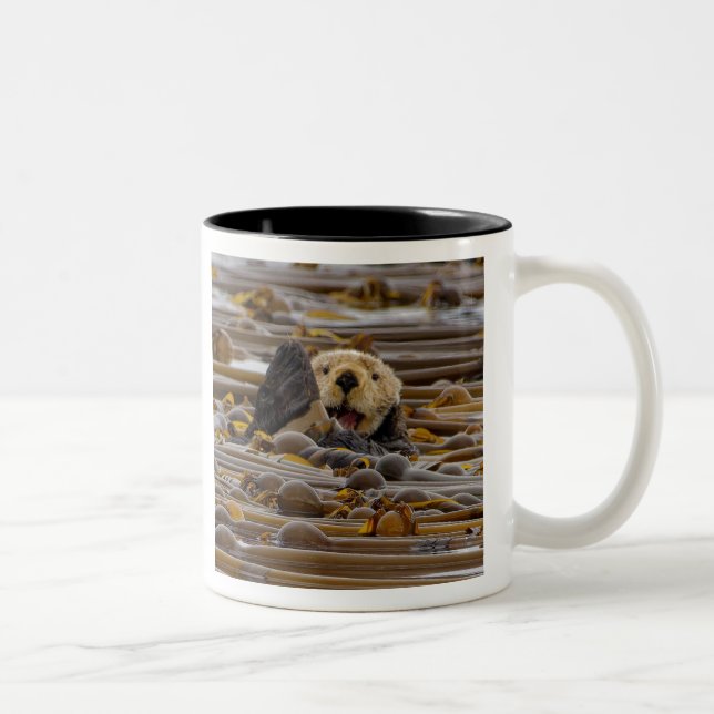 Der kleine Otter Zweifarbige Tasse (Rechts)