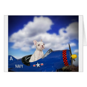 Der kleine Pilot