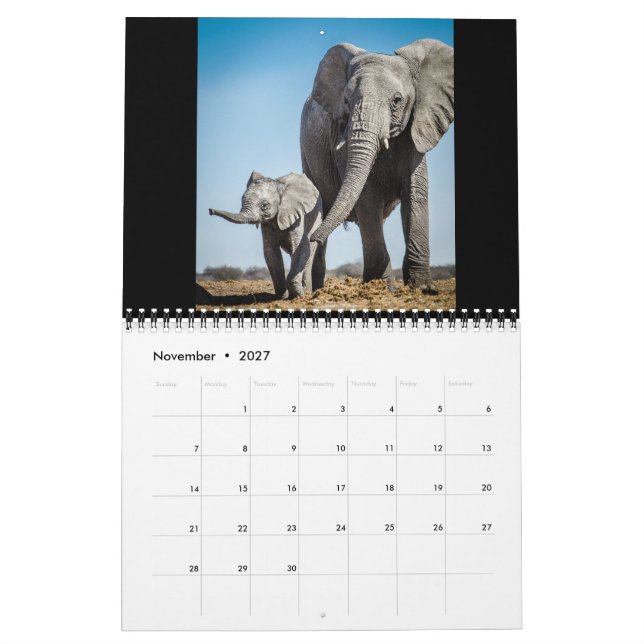 Der kleinste Giants Kalender (Nov 2027)