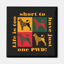 Der kluge portugiesische Wasserhund