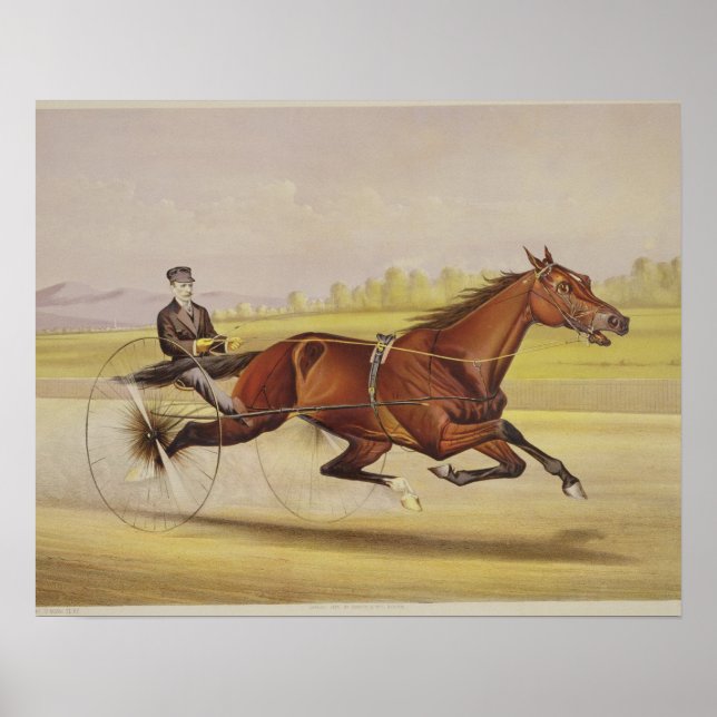 Der König der Türken, 'St. Julien', angetrieben vo Poster (Vorne)