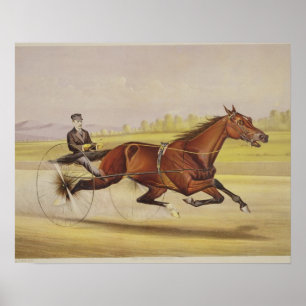 Der König des Rasens, "St. Julien", gefahren durch Poster