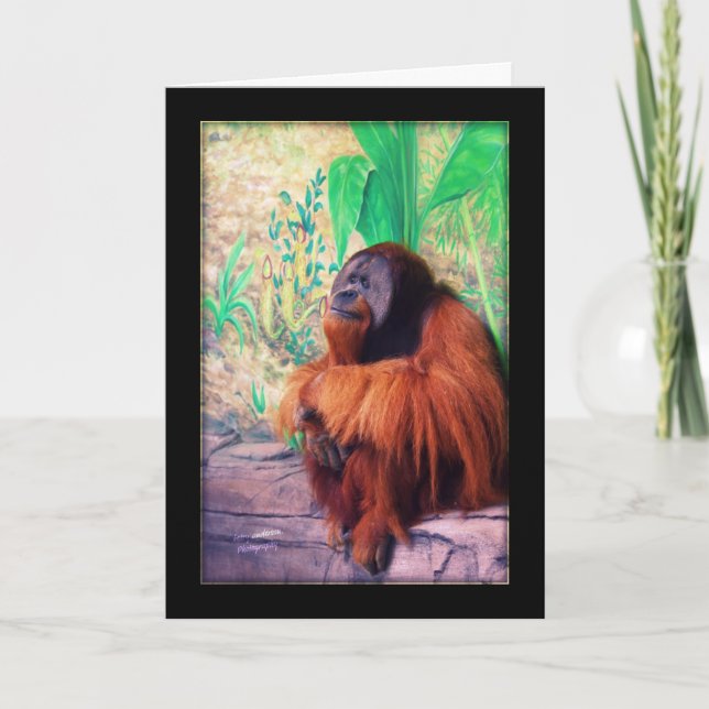 Der Kontemplator - Karte (Vorderseite)