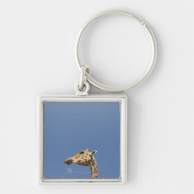 Der Kopf der Giraffe Schlüsselanhänger (Vorne)