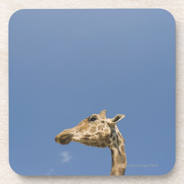 Der Kopf der Giraffe Untersetzer (Vorderseite)