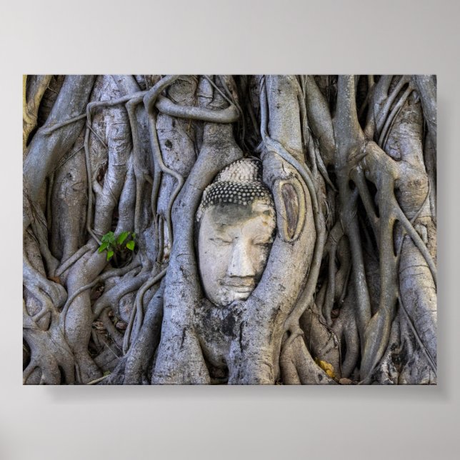 Der Kopf im Baum Poster (Vorne)