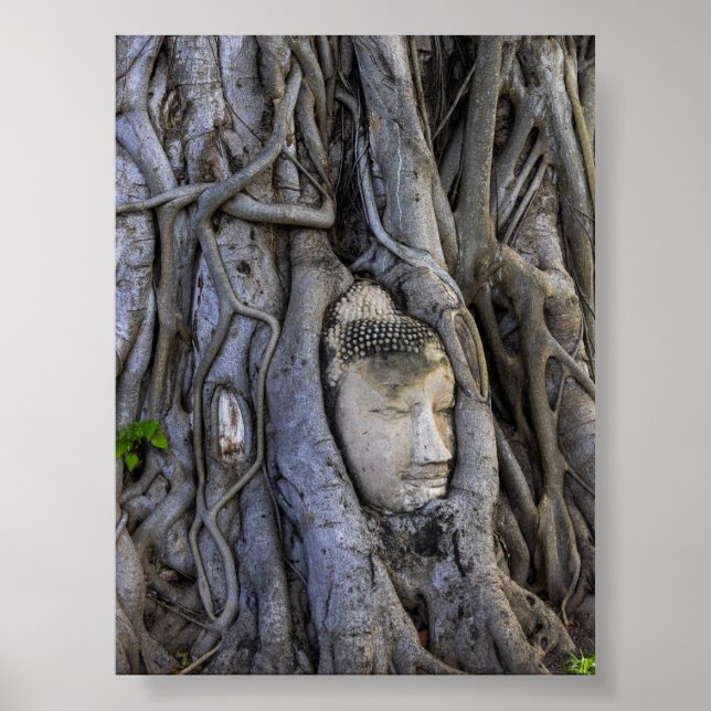 Der Kopf im Baum Poster (Vorne)