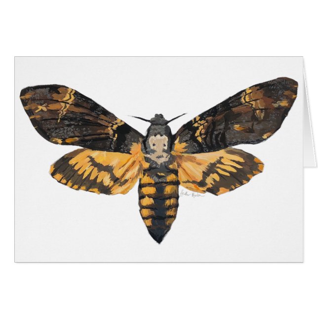 Der Kopf-Motte des Todes (Vorderseite (Horizontal))