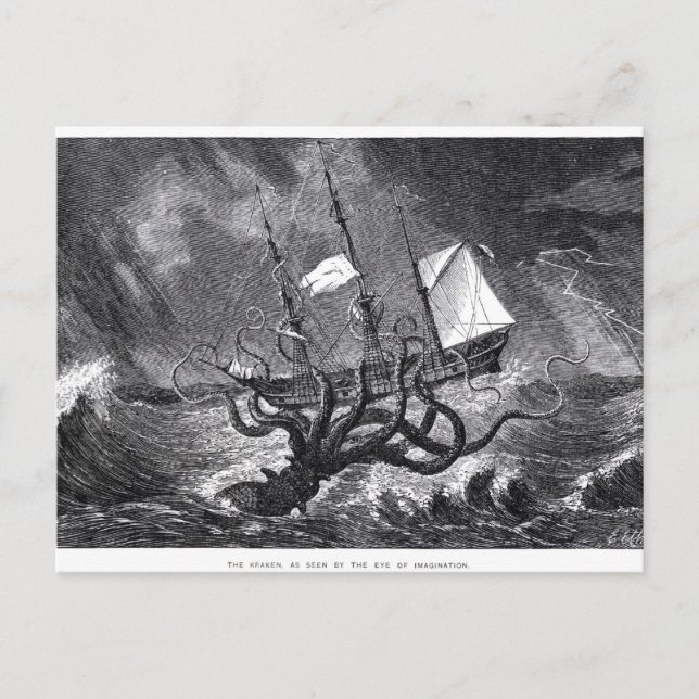 Der Kraken Postkarte (Vorderseite)