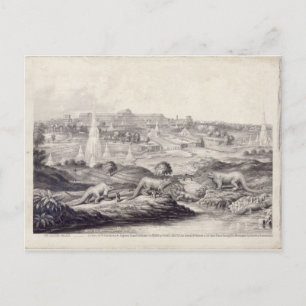 Der Kristallpalast Postkarte