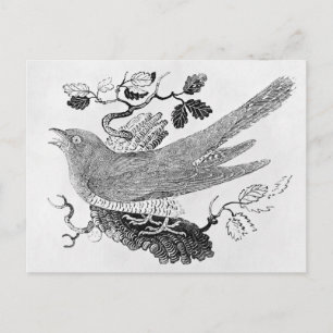 Der Kuckuck Postkarte