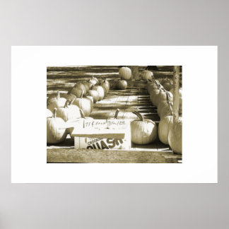 Der Kürbiskart Poster