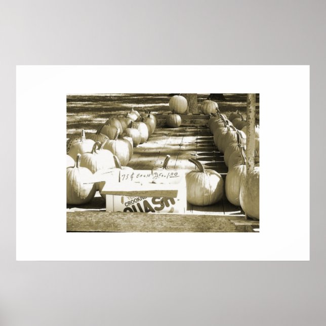 Der Kürbiskart Poster (Vorne)