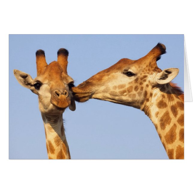 Der Kuss (Vorderseite (Horizontal))