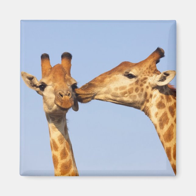 Der Kuss Magnet (Vorne)