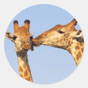 Der Kuss Runder Aufkleber