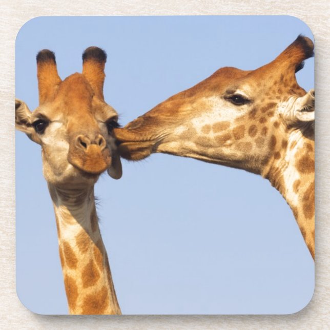 Der Kuss Untersetzer (Vorderseite)