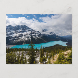 Der Lake Peyto in den Rocky Mountains Postkarte