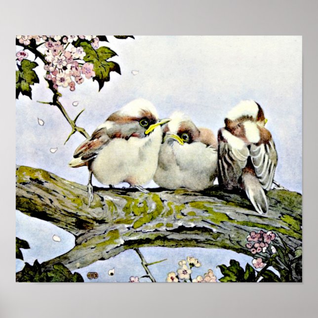 Der lange Schwanz, Edward Julius Detmold Poster (Vorne)