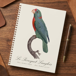 Der Langlois-Papagei von Jacques Barraband Planer