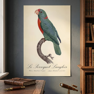 Der Langlois-Papagei von Jacques Barraband Poster