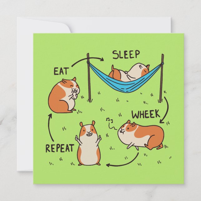 Der Lebenszyklus eines Guinea Pig (Vorderseite)