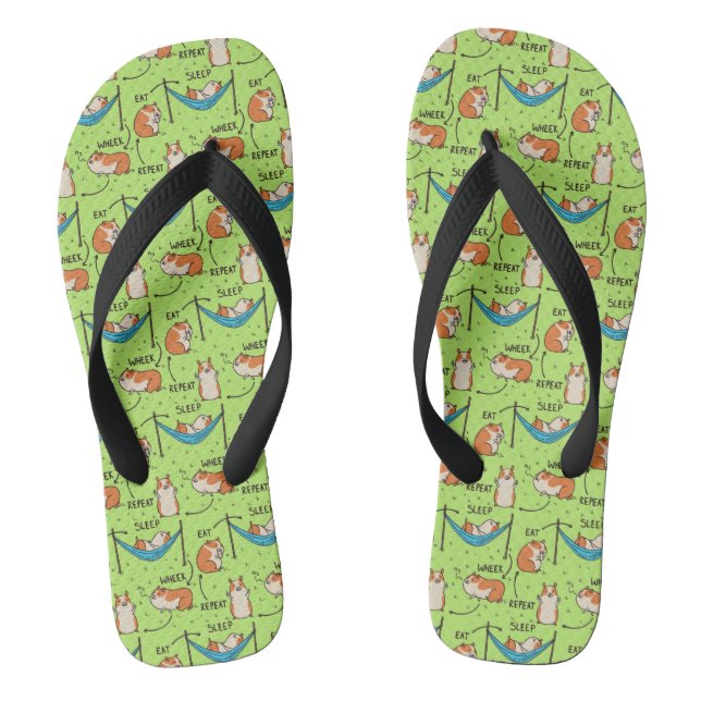 Der Lebenszyklus eines Guinea Pig Flip Flops (Fußbett)