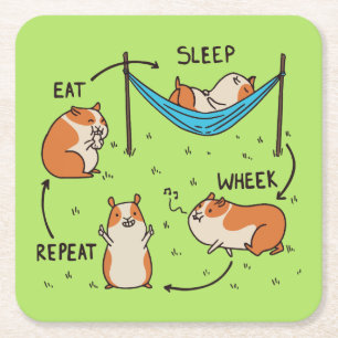 Der Lebenszyklus eines Guinea Pig Rechteckiger Pappuntersetzer