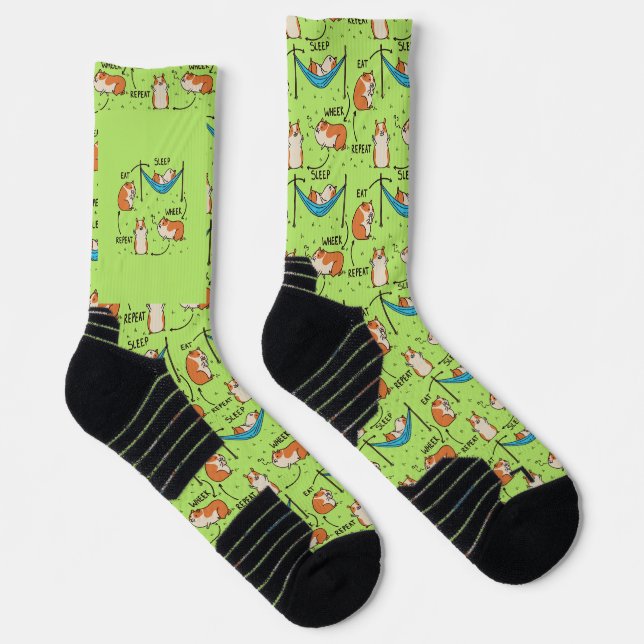 Der Lebenszyklus eines Guinea Pig Socken (Rechts)