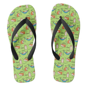 Der Lebenszyklus eines Meerschweinchens Flip Flops