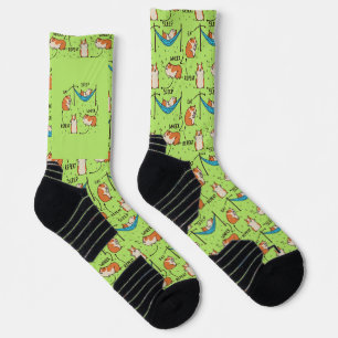 Der Lebenszyklus eines Meerschweinchens Socken