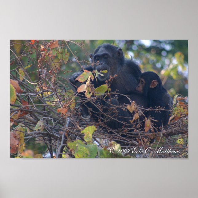 Der Lehrer Poster (Vorne)