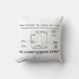 Der Leidenfrost-Effekt Chemie Wasser Kissen