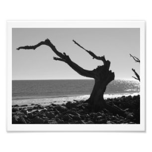 Der Leiter Fotodruck