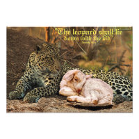 Der Leopard legt sich mit dem KindJesaja 11 hin